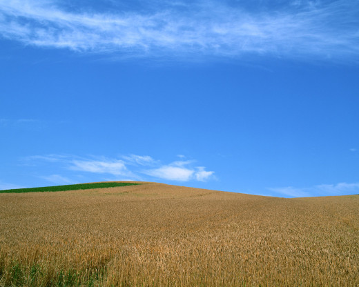 28341 (a): :1280x1024